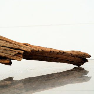 Manzanita Driftwood