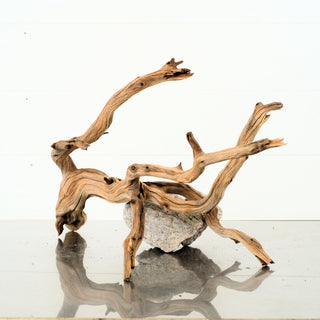 Manzanita Driftwood