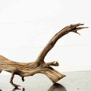 Manzanita Driftwood