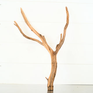 Manzanita Driftwood