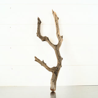 Manzanita Driftwood