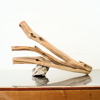 Manzanita Driftwood