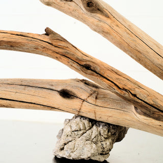 Manzanita Driftwood