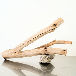 Manzanita Driftwood