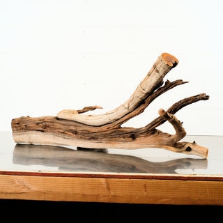 Manzanita Driftwood