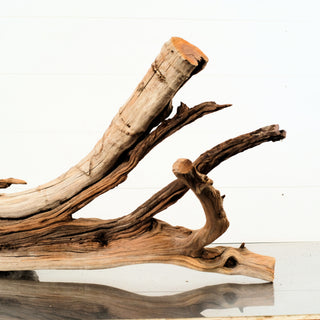 Manzanita Driftwood