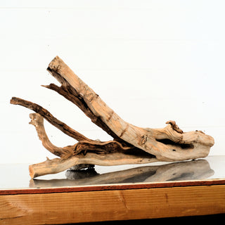 Manzanita Driftwood