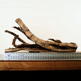 Manzanita Driftwood