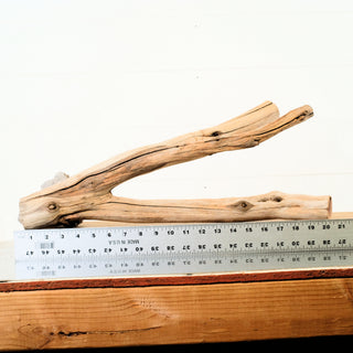 Manzanita Driftwood