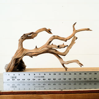 Manzanita Driftwood