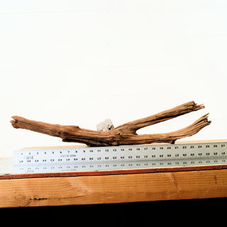 Manzanita Driftwood