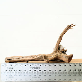 Manzanita Driftwood