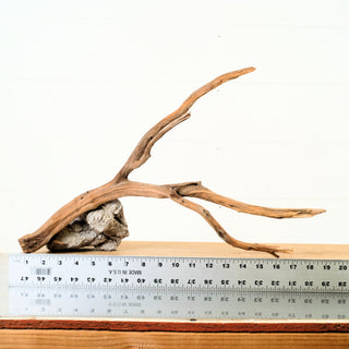 Manzanita Driftwood
