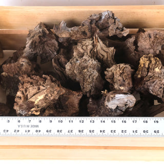 Manzanita Burl Pieces with irregular shapes and rugged textures ideal for aquascapes and terrarium designs.