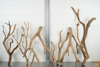 Custom Bulk Box (30 pc) with various sizes of aquarium driftwood branches individually photographed for aquarium terrarium use.