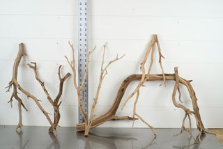 Custom Bulk Box (30 pc) aquarium driftwood pieces individually photographed with ruler for size reference.