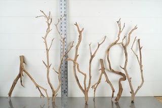 Individually photographed aquarium driftwood pieces arranged with ruler for scale in Custom Bulk Box (30 pc)