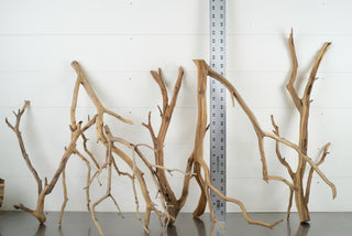 Individually photographed Custom Bulk Box (30 pc) featuring unique aquarium driftwood pieces with natural textures.