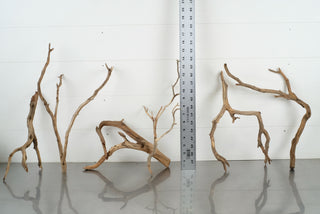 Individually photographed Custom Bulk Box (30 pc) showcasing aquarium driftwood pieces with a ruler for scale.