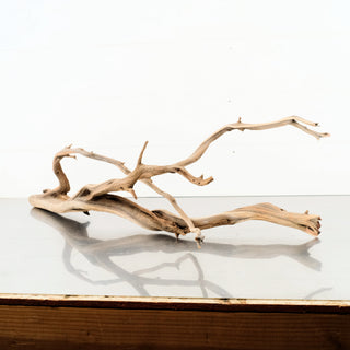Manzanita Driftwood 28"