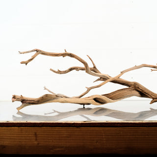 Manzanita Driftwood 28"