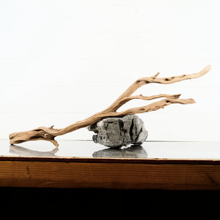 Manzanita Driftwood 31"