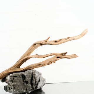 Manzanita Driftwood 31"
