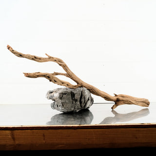 Manzanita Driftwood 31"