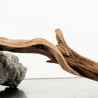 Manzanita Driftwood 31"