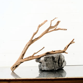 Manzanita Driftwood 19"