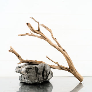 Manzanita Driftwood 19"