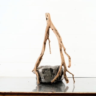 Manzanita Driftwood 19"
