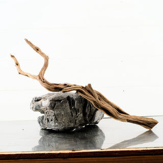 Manzanita Driftwood 19"
