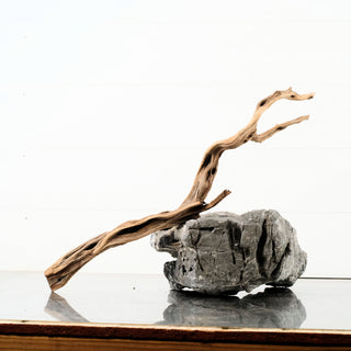 Manzanita Driftwood 19"