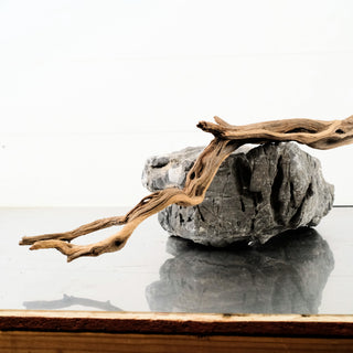 Manzanita Driftwood 19"