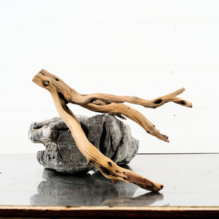 Manzanita Driftwood 12"