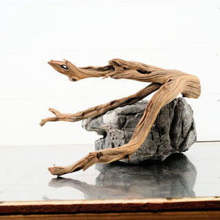 Manzanita Driftwood 12"