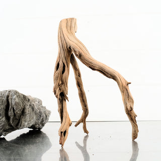 Manzanita Driftwood 12"