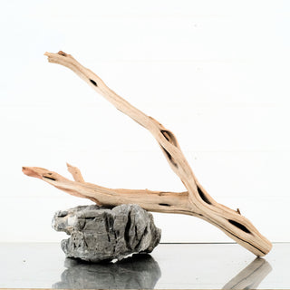 Manzanita Driftwood 22"