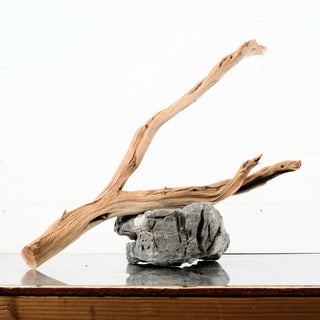 Manzanita Driftwood 22"
