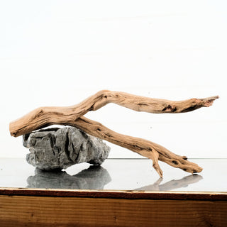Manzanita Driftwood 22"