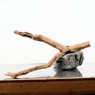 Manzanita Driftwood 22"