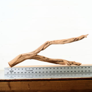 Manzanita Driftwood 22"