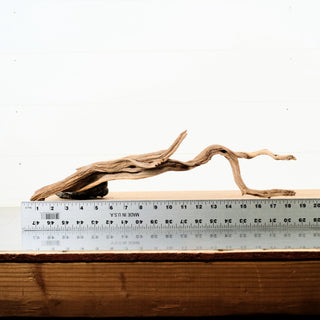 Manzanita Driftwood 19"
