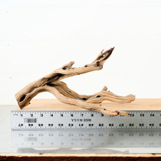 Manzanita Driftwood 12"
