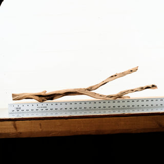 Manzanita Driftwood 31"