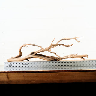 Manzanita Driftwood 28"