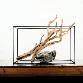 Manzanita Driftwood (Set of 2) 25-26"