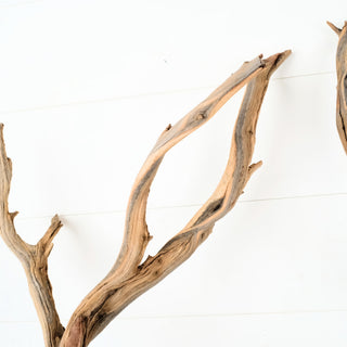Manzanita Driftwood (Set of 2) 25-26"