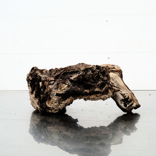 Manzanita Driftwood 12"